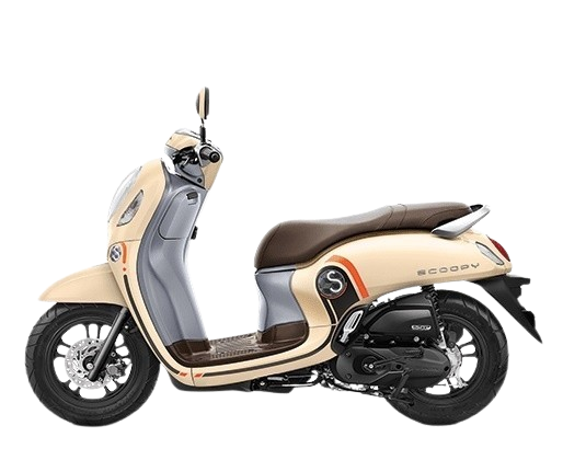 Light Beige Scoopy 2023
